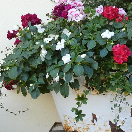 Dornstetten Pension Waldliesel מראה חיצוני תמונה