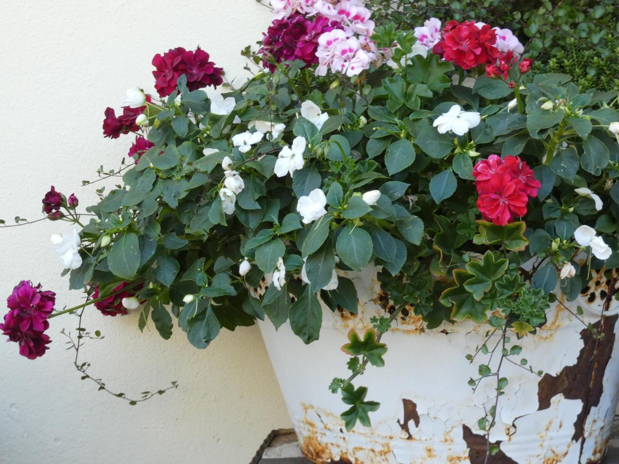 Dornstetten Pension Waldliesel מראה חיצוני תמונה